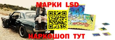 крисы Чебаркуль