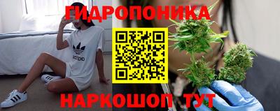 крисы Чебаркуль