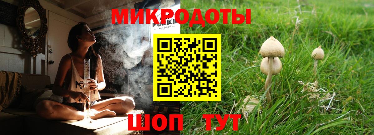 Галлюциногенные грибы Magic Shrooms Бийск